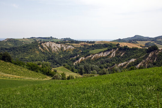 Landscape of Bologna, Valsamoggia countryside, showcasing rolling hills with eroded terraces. Italy