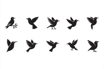 Collection of black silhouette birds in various poses, perfect for minimalist digital designs and nature logos