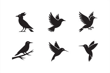 Elegant collection of bird icon silhouettes in various flight poses for modern digital designs