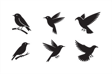 Creative set of bird icons in black silhouette style, featuring different wing positions and nature-based designs