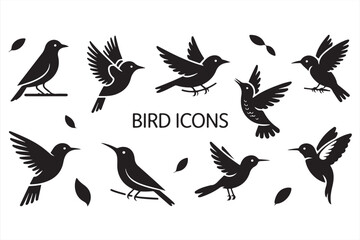 Set of sleek black bird silhouettes, featuring various flying and perched poses, perfect for logos and icons