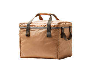 Delivery Insulated Bag png