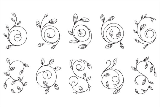 Intricate floral swirl with detailed leaf motifs and soft curves, ideal for elegant illustrations and designs