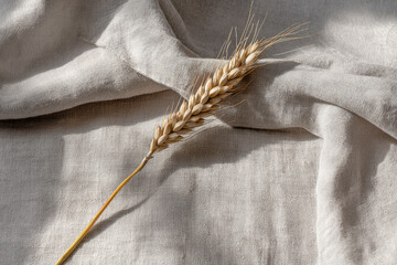 A single ear of barley rests diagonally across a textured linen surface, showcasing its golden grains and delicate awns under soft natural light