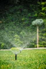 Lawn sprinkler spraying water in a landscaped garden, with visible droplets and a young tree in the...