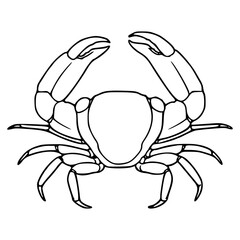 stylized crab outline drawing