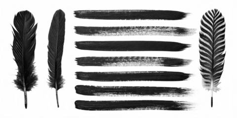 collection of black feathers and bold ink brush strokes isolated on a clean white background