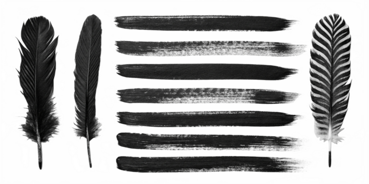 collection of black feathers and bold ink brush strokes isolated on a clean white background