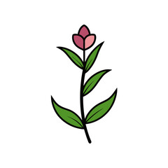 Charming Partridge Pea Flower Vector Doodle Clipart