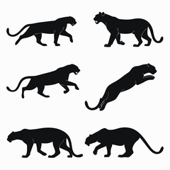 Silhouettes of black panthers in various poses representing power and graceful movement
