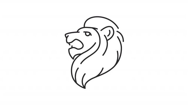 Judah lion line animation. African mammal animated icon. Moving jaw, opening. Shaking ears. Wildlife, christianity. Outline element on white background. HD video with alpha channel