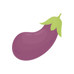 Eggplant. Healthy vegetables. Proper nutrition