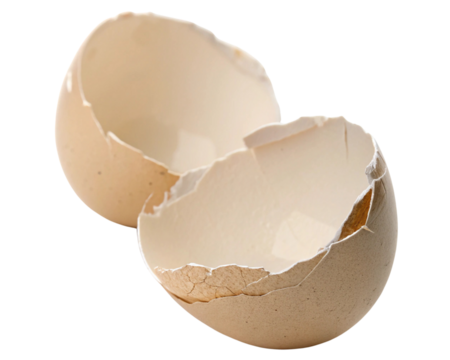 broken egg shell