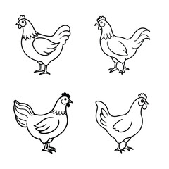 Hen line art vector illustration 