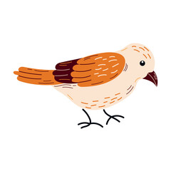 
Spring  birds  single element. Spring singing birds. Vector birds for postcards and t-shirts.