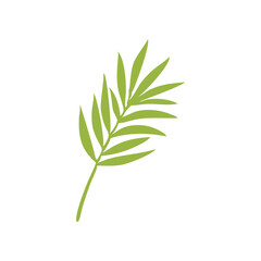 green plant leave isolated