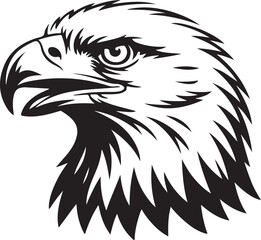 eagle head vector illustration