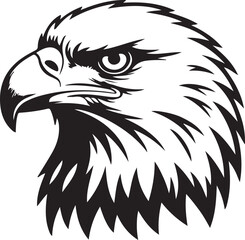 bald eagle vector illustration