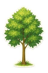 tree growing from soil