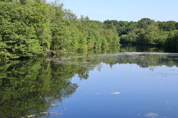 Blick auf den Fluss M&ouml;hne im Arnsberger Wald