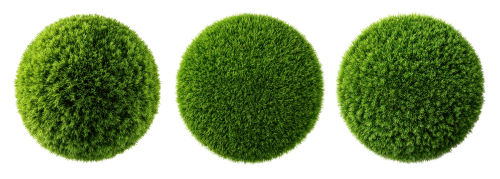 circle ball of green grass isolated on transparent background