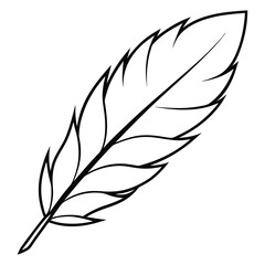 Obraz premium Elegant Feather Illustration in Black and White Silhouette Style on a Clean Background silhouette