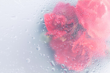 Bright beautiful bouquet of red flowers arrangement behind a white matte glass blurry with water...