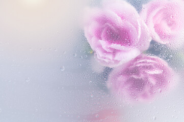 Bright beautiful bouquet of purple flowers arrangement behind a white matte glass blurry with water drops,soft focus,DOF- depth of field