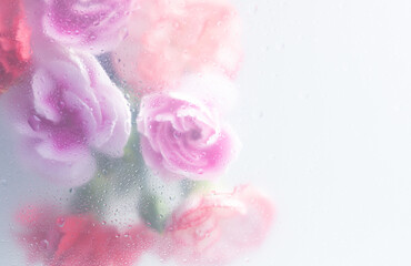 Bright beautiful bouquet of purple white and red flowers arrangement behind a white matte glass blurry with water drops,soft focus,DOF- depth of field