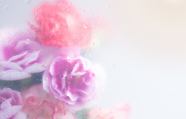 Bright beautiful bouquet of purple white and red flowers arrangement behind a white matte glass blurry with water drops,soft focus,DOF- depth of field