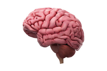 Celebrating Global Unity A Silhouette of Hands Raised in Joy