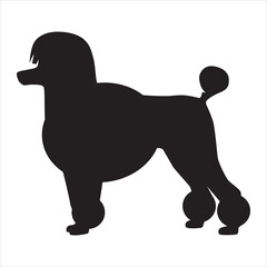 Poodle Dog silhouette icon vector illustration design on white background