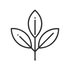 Organic leaf symbol icon for natural product websites, eco-friendly business blogs, environmental certification programs, sustainable brand marketing and green packaging designs