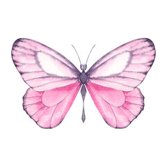 butterfly pink watercolor isolated on white watercolor. Perfect for cards, packaging, scrapbooking, and playful seasonal designs. Bright and cheerful summer vibe