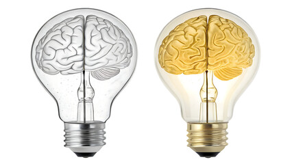 light bulb on white background