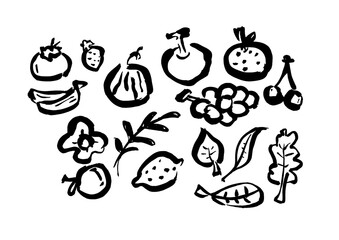 シンプルで味がある「果物」の手描きイラスト