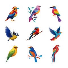 color full bird adobe stock 42