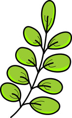 vector illustration of a green leaves