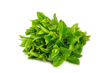 Mint. Fresh organic mint leaves isolated on white background. Mint leaves. Peppermint. Close-up.