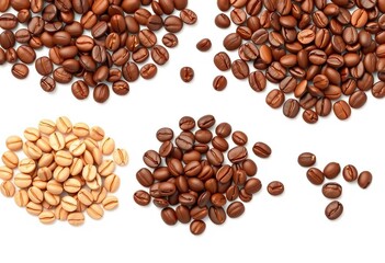 Fototapeta premium Flat vector illustration of light, medium, and dark roasted coffee beans in separate groups , light roast, robusta