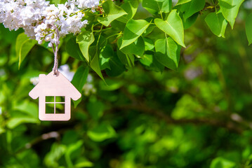 The symbol of the house among the branches of the white lilac
