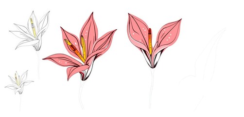 Fototapeta premium Hand-drawn heliconia flower outlines, doodle style vector illustrations, perfect for crafting and design, summer, pattern