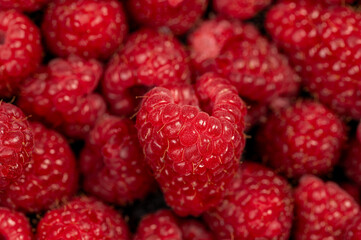 close up of ripe raspberries