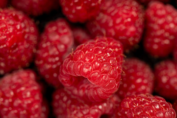 close up of ripe raspberries