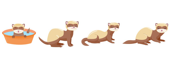 Cartoon ferret emotions set. Cute cartoon domestic ferret in different poses. Ferret takes a bath. Veterinary, animal care. Vector illustration of pet isolated on white background.