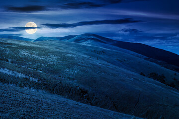 mountain landscape with green meadows in summer at night. picturesque travel destination wallpaper concept. scenery with rolling hills in full moon light
