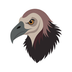 Vulture Head with Decayed Textures