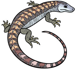 Naklejka premium Gecko-like Animal Art