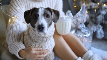 Woman wearing cozy sweater embracing her dog, also wearing a matching sweater, while enjoying a cup of hot chocolate with marshmallows by a decorated christmas tree during the holiday season