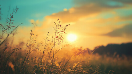 This picture shows a golden meadow bathed in the warm glow of the setting sun, with grass swaying gently in the breeze, creating a peaceful and serene atmosphere.